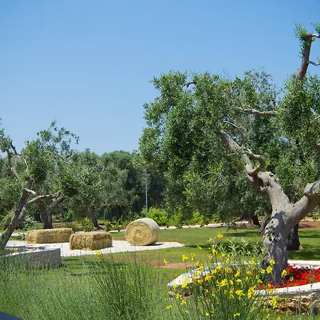 לינה וארוחת בוקר La Vecchia Lamia סן ויטו דיי נורמני