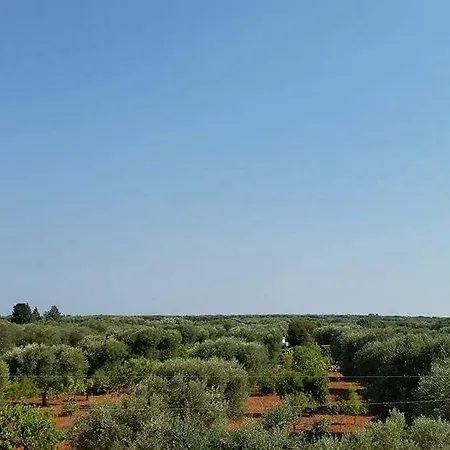 La Vecchia Lamia לינה וארוחת בוקר סן ויטו דיי נורמני
