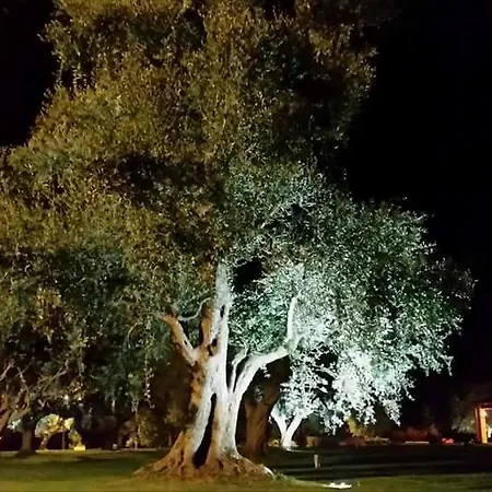 לינה וארוחת בוקר La Vecchia Lamia *